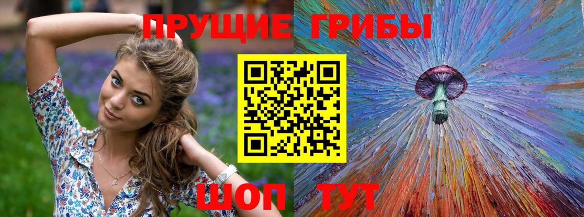 Галлюциногенные грибы мицелий  Вход с VPN  Рассказово 